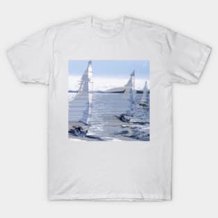 Before The Wind T-Shirt